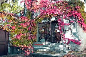 纽卡斯尔前锋破门得分，助球队赢得比赛