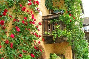 申花上海队展现雄心壮志，获得关键胜利