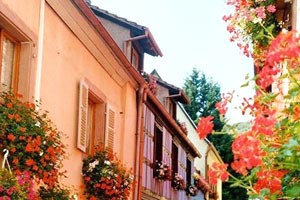 莱万多夫斯基在国际足球联赛中大放异彩