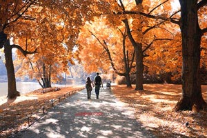 重庆斯威客场逆转胜天津泰达，激情足球再现